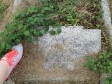 image of grave number 582159